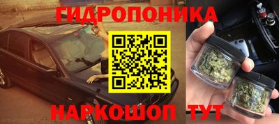 дмт Обь